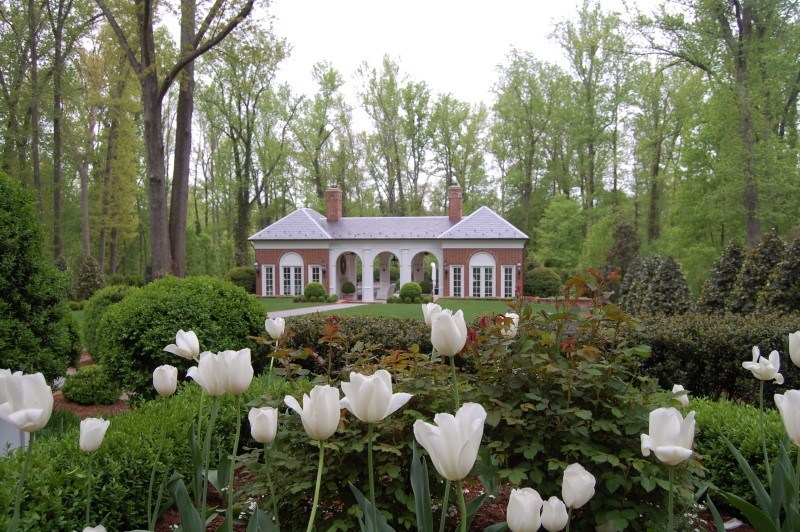 tulips and pool house