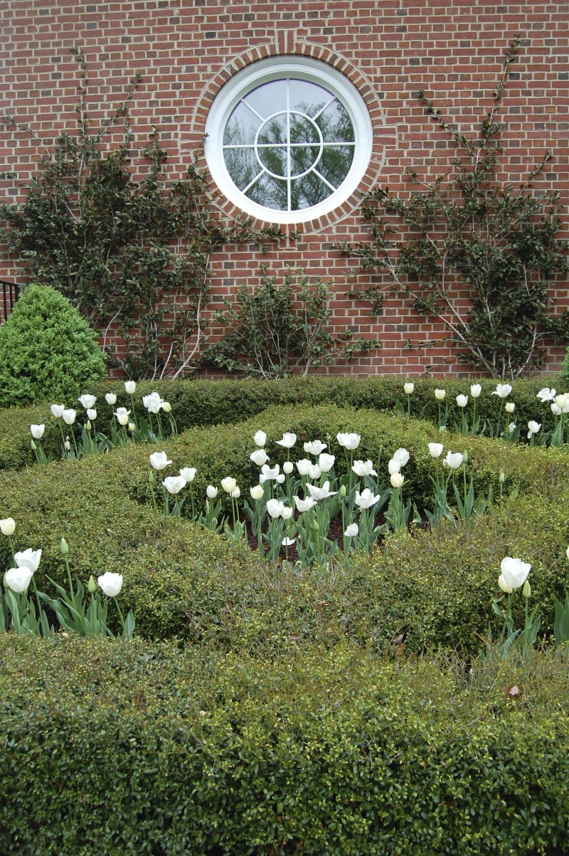 tulips pool house