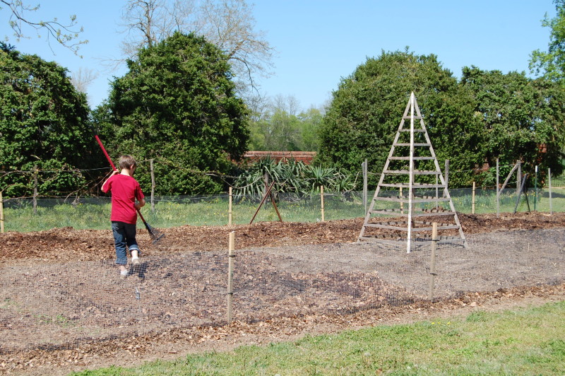 wils veggie garden