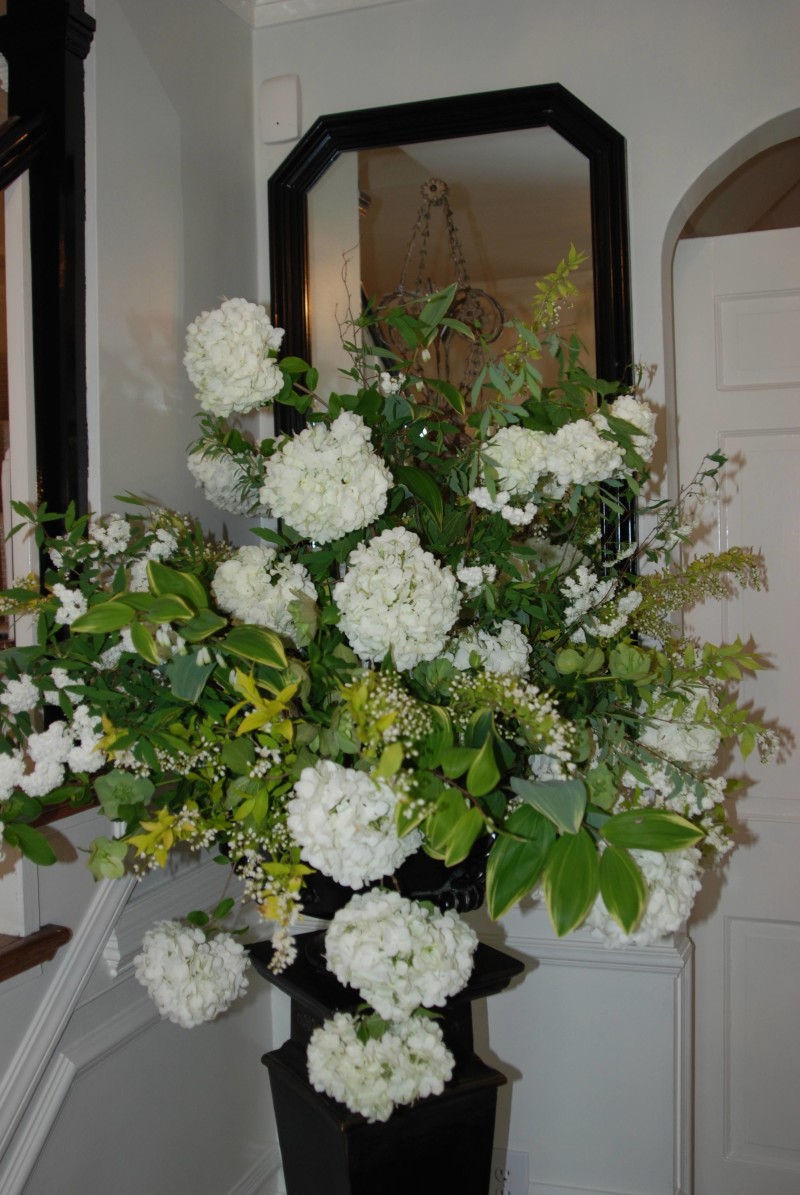 viburnum entrance harris